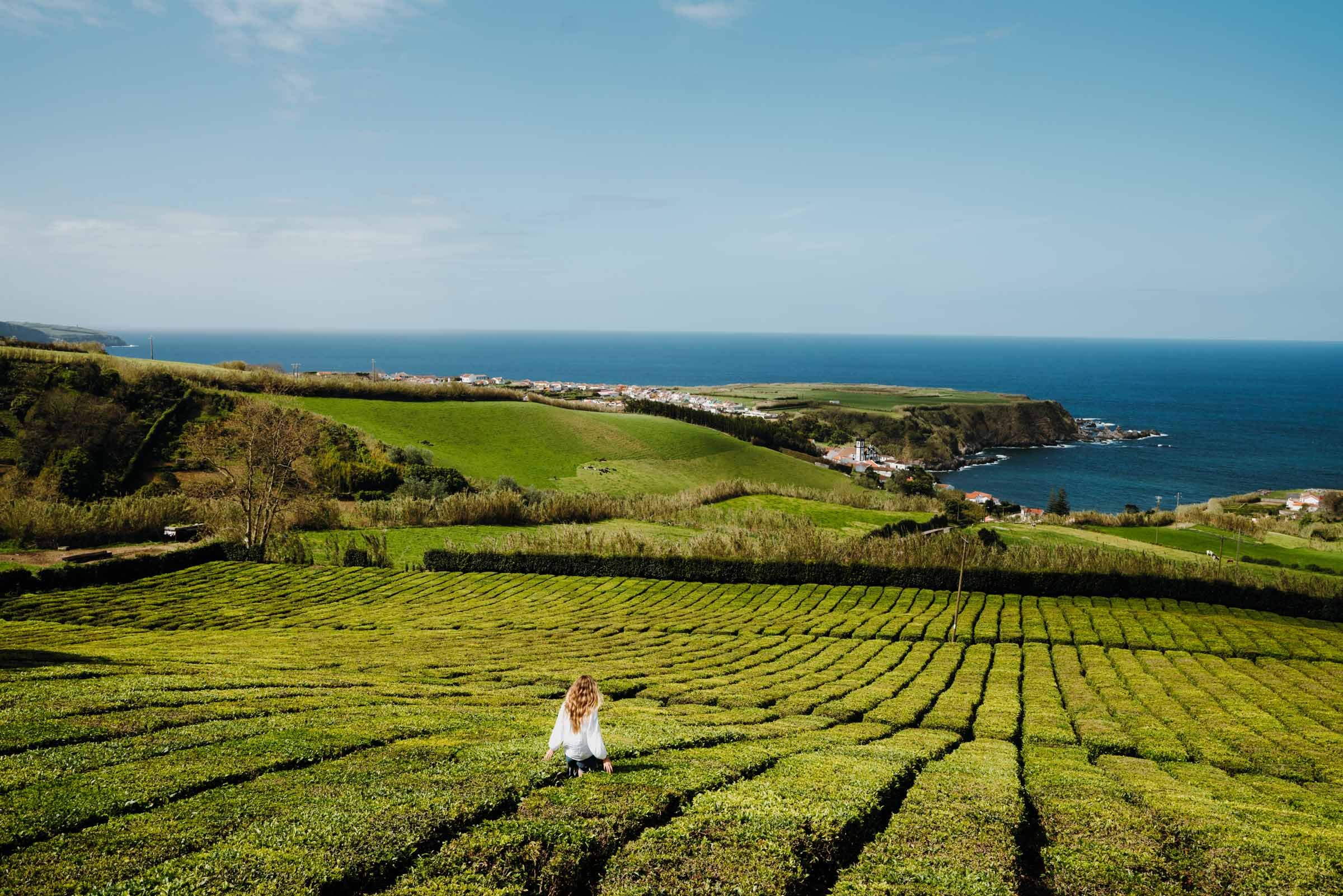 Porto+Formoso,+São+Miguel,+Açores